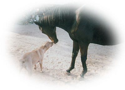 best friends