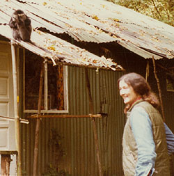 Dian Fossey