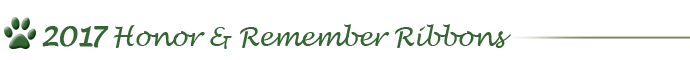 2017 Honor & Remember Ribbons