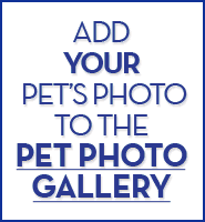 Enter Your Pet's Photo in the Pet Photo Parade!
