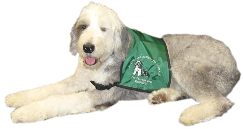 Pet Assisted Therapy