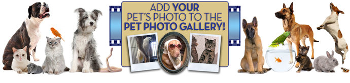 Pet Photo Gallery
