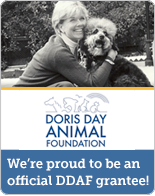 Official DDAF Grantee