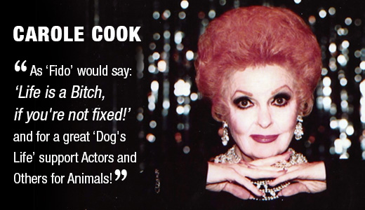Carole Cook