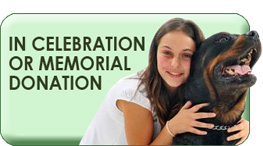 Memorial Donation