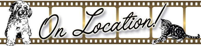Newsletters