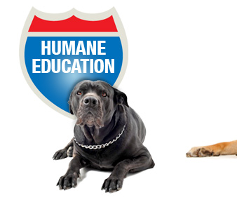 Humane Education