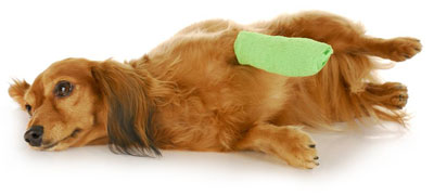 Emergency Medical Assistance