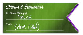 Actors and Others Honor and Remember