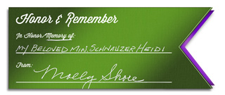 Actors and Others Honor and Remember