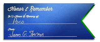 Actors and Others Honor and Remember