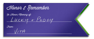 Actors and Others Honor and Remember